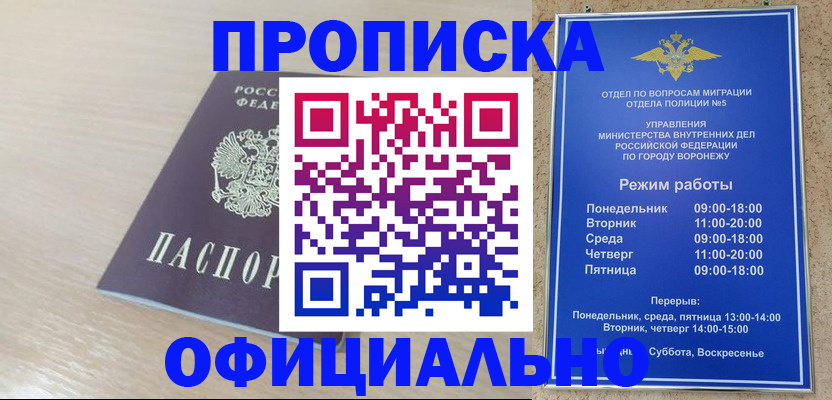 прописка в квартире в Новодвинске